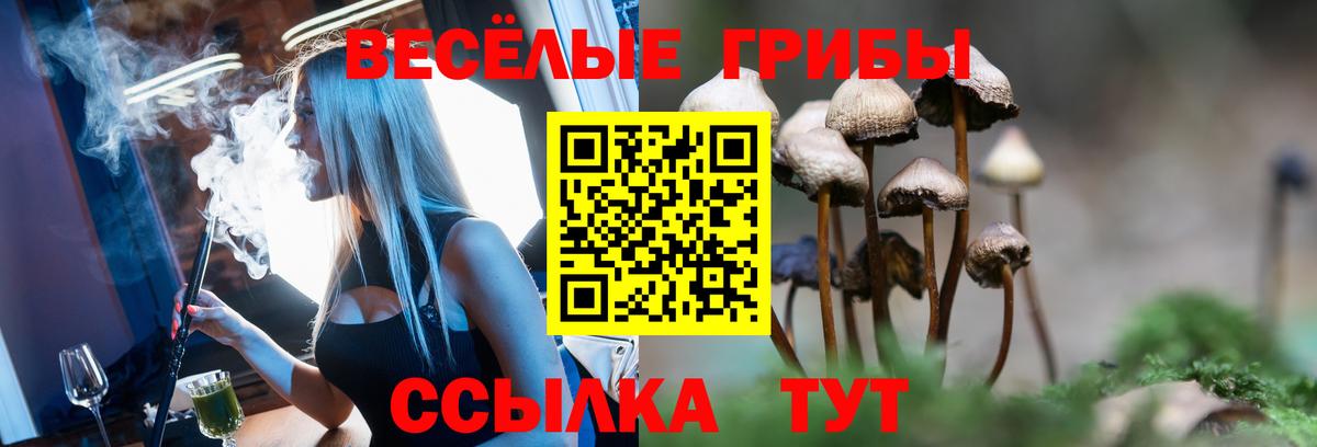 Галлюциногенные грибы MAGIC MUSHROOMS Партизанск